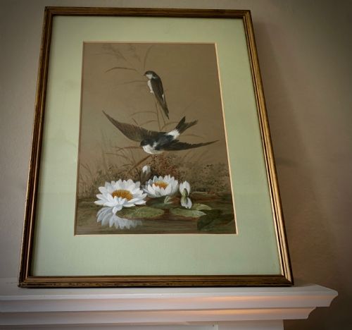 english school watercolour study of martins and waterlillies - CATEGORY: ANTIQUE ART - DATED EDWARDIAN
