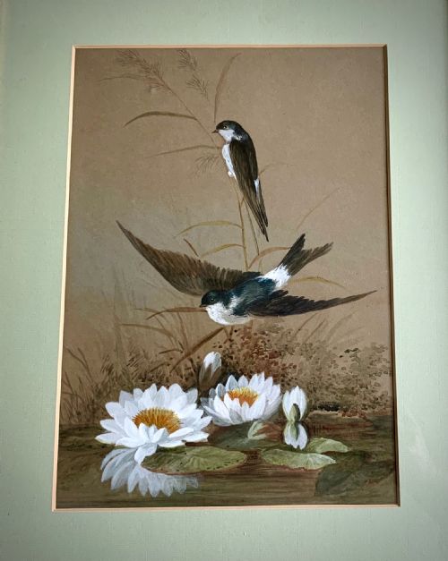 ENGLISH SCHOOL WATERCOLOUR STUDY OF MARTINS AND WATERLILLIES - ADDITIONAL PHOTO 1