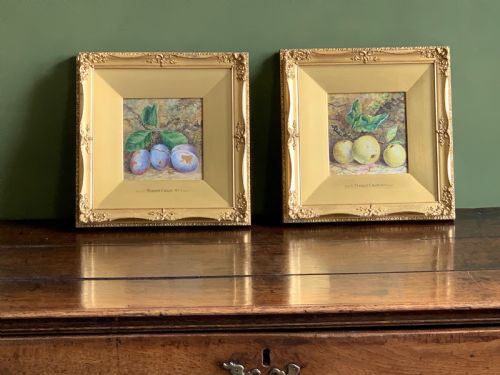 TWO STILL LIFE WATERCOLOUR STUDIES OF PLUMS AND APPLES MARION CHASE 1844 1905 - ADDITIONAL PHOTO 13