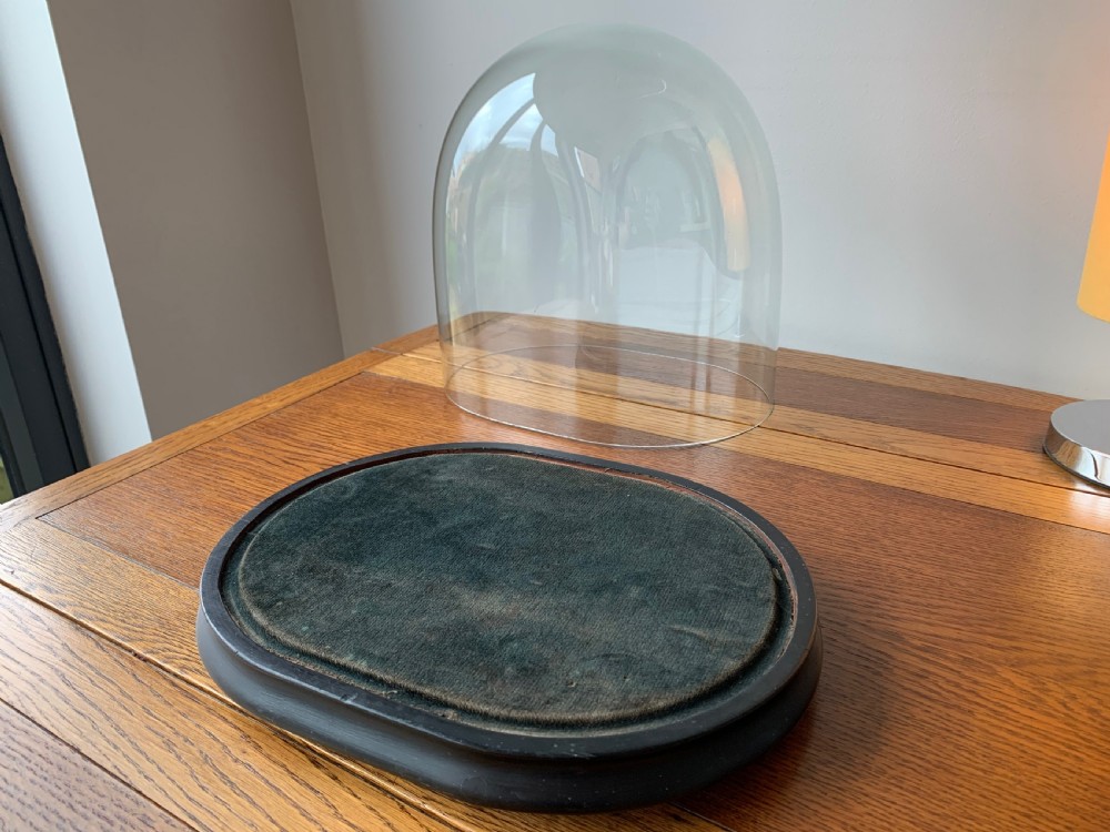 HAND BLOWN VICTORIAN GLASS DISPLAY DOME View VI