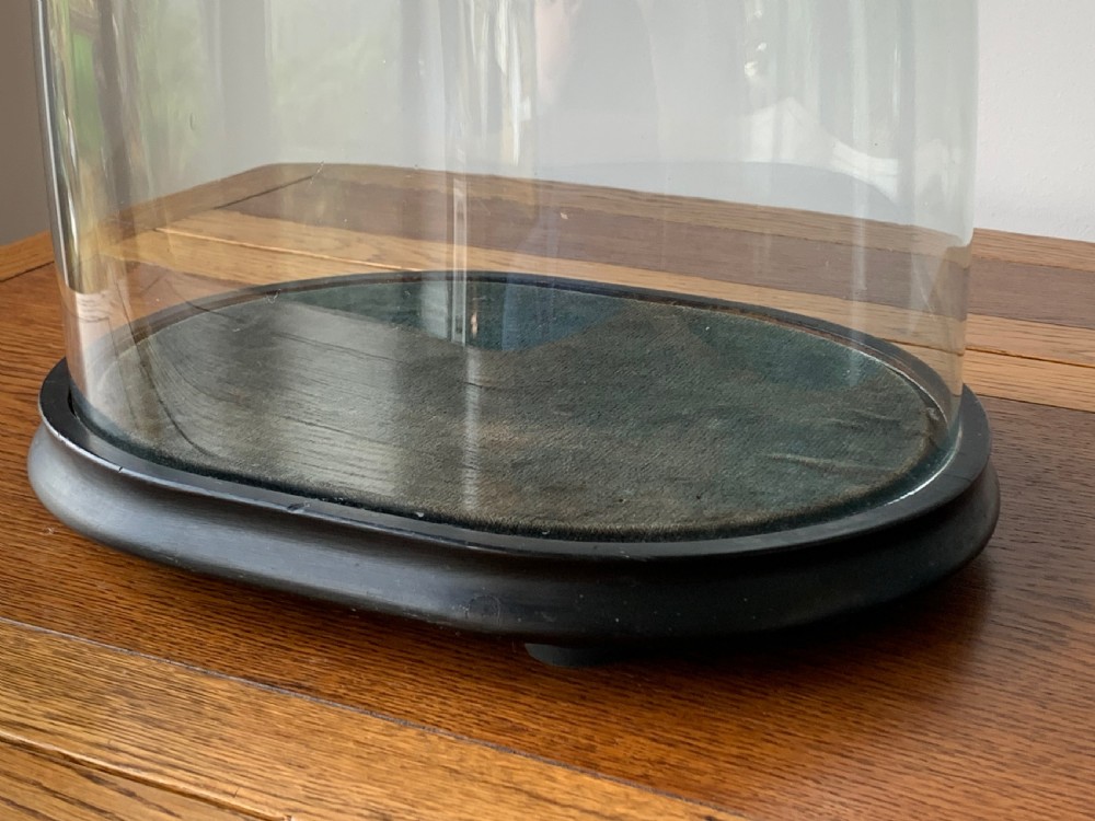 HAND BLOWN VICTORIAN GLASS DISPLAY DOME View IX