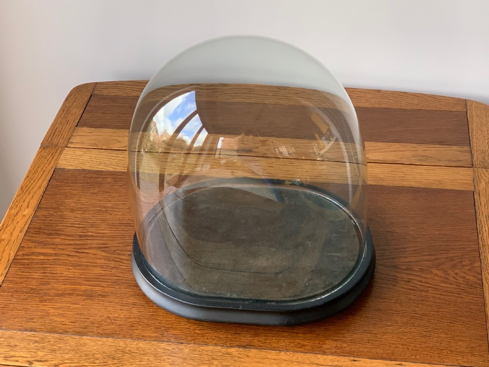 HAND BLOWN VICTORIAN GLASS DISPLAY DOME View X