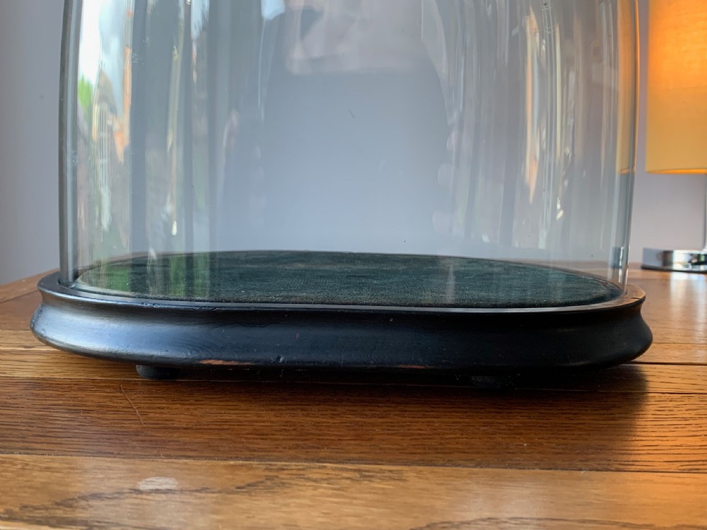 HAND BLOWN VICTORIAN GLASS DISPLAY DOME View XI