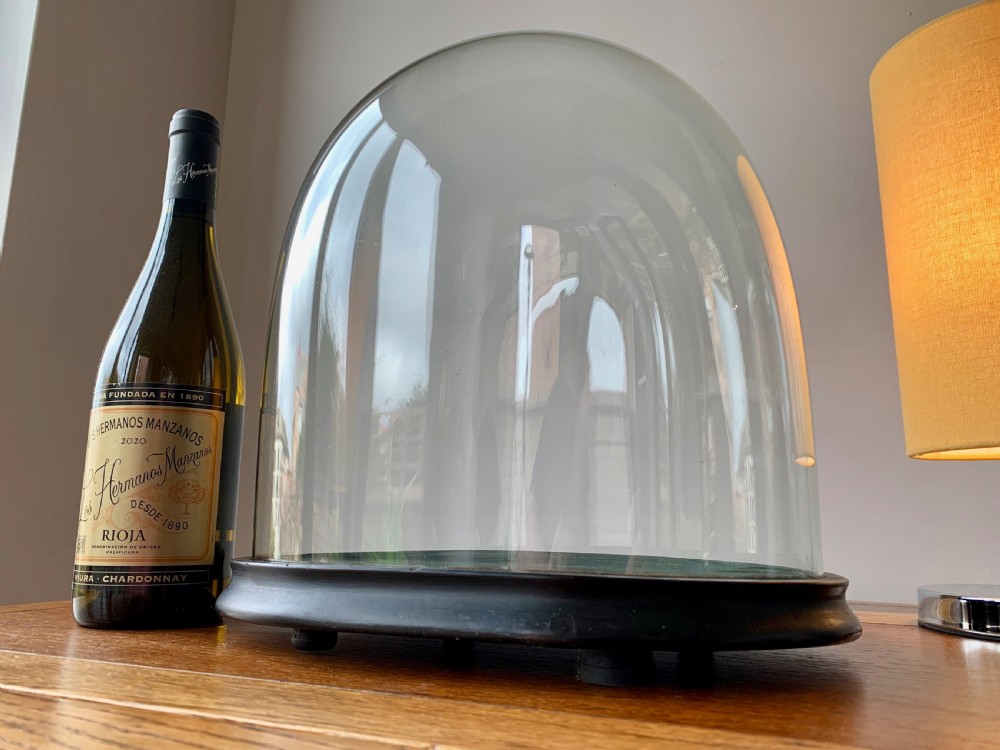 HAND BLOWN VICTORIAN GLASS DISPLAY DOME View XIII