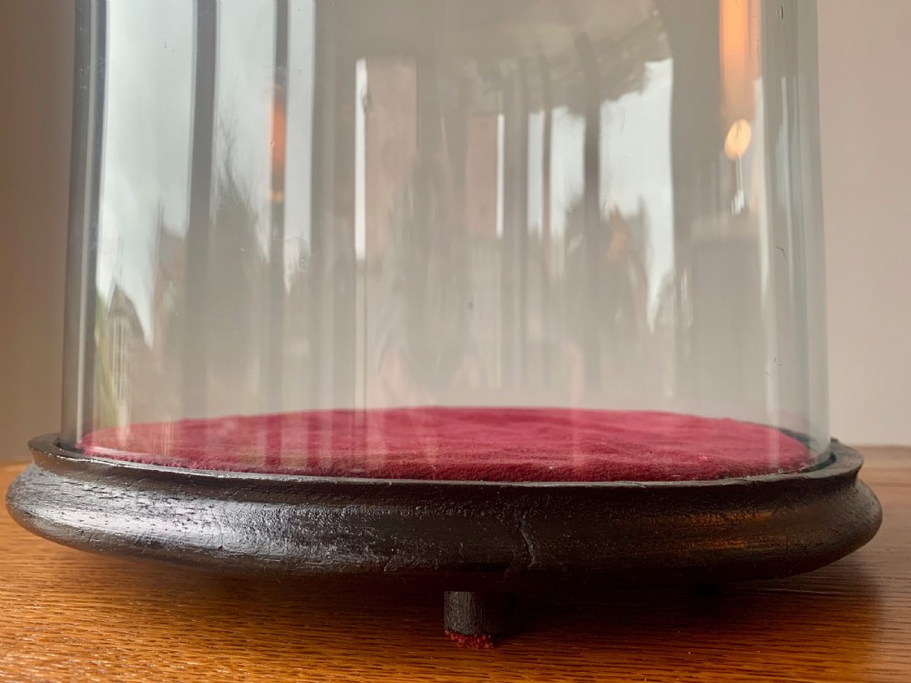 HAND BLOWN VICTORIAN GLASS DISPLAY DOME  View III