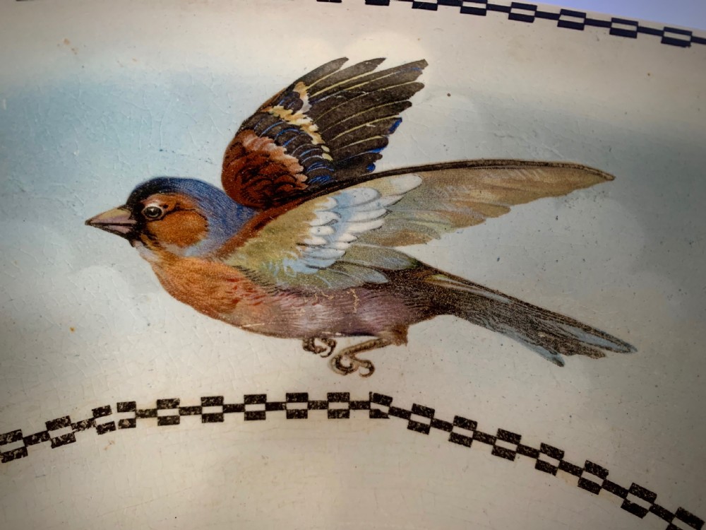 EDWARDIAN WASH BASIN WITH ENGLISH GARDEN BIRDS View V