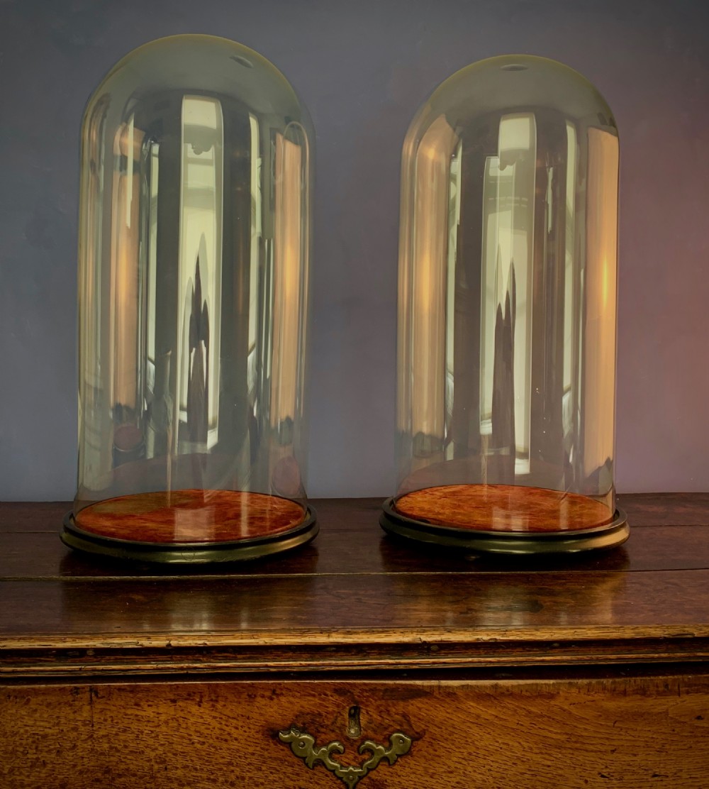 LARGE PAIR OF VICTORIAN HAND BLOWN GLASS DOMES ON EBONISED BASES View II