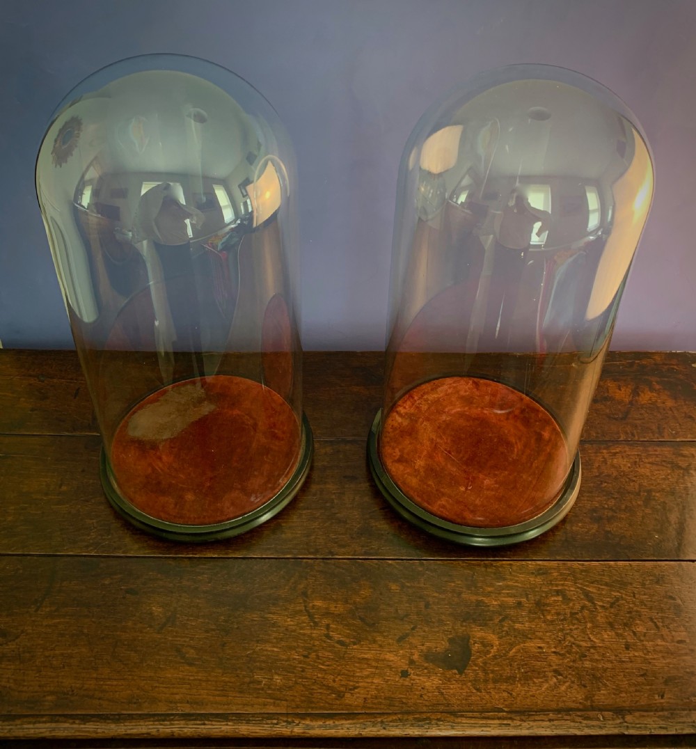 LARGE PAIR OF VICTORIAN HAND BLOWN GLASS DOMES ON EBONISED BASES View IV
