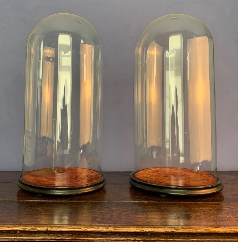LARGE PAIR OF VICTORIAN HAND BLOWN GLASS DOMES ON EBONISED BASES View V