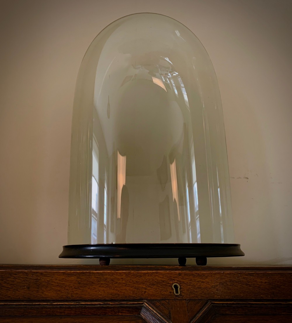 LARGE OVAL VICTORIAN GLASS DISPLAY DOME View II