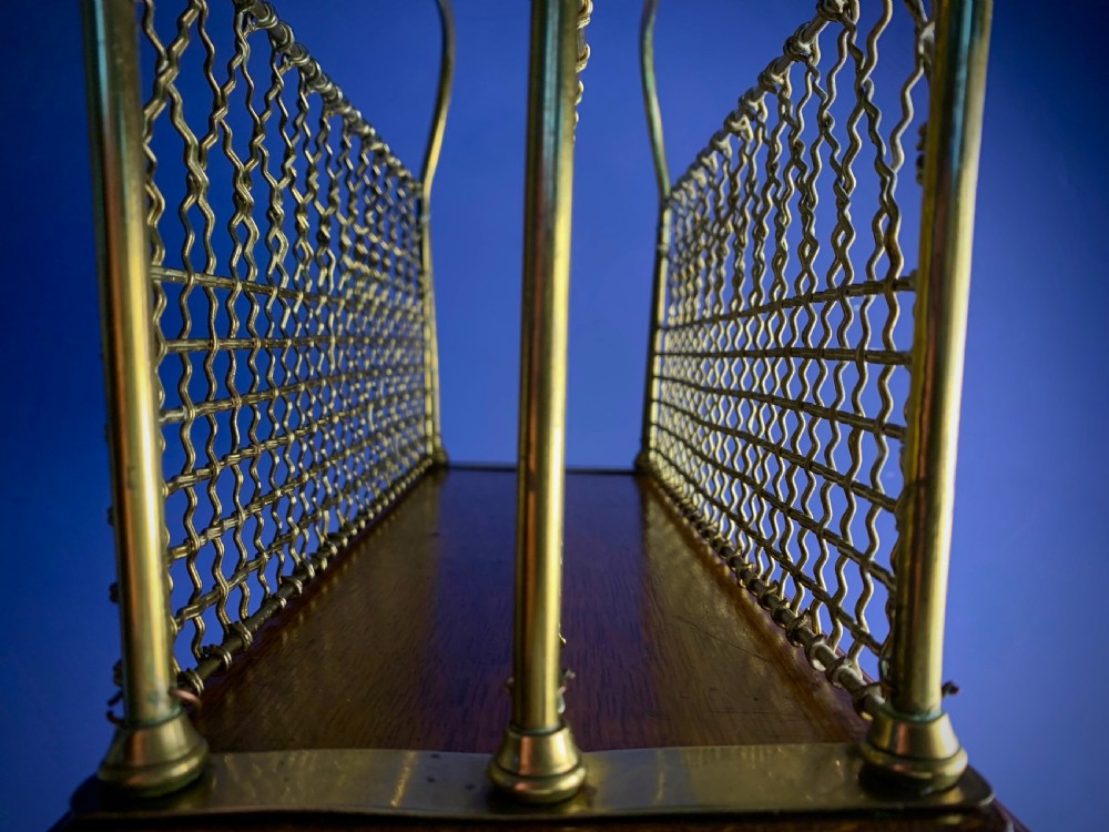 A Victorian tubular brass magazine stand featuring mesh wire compartments, a central carrying handle, and a mahogany base supported by splayed legs. View IV