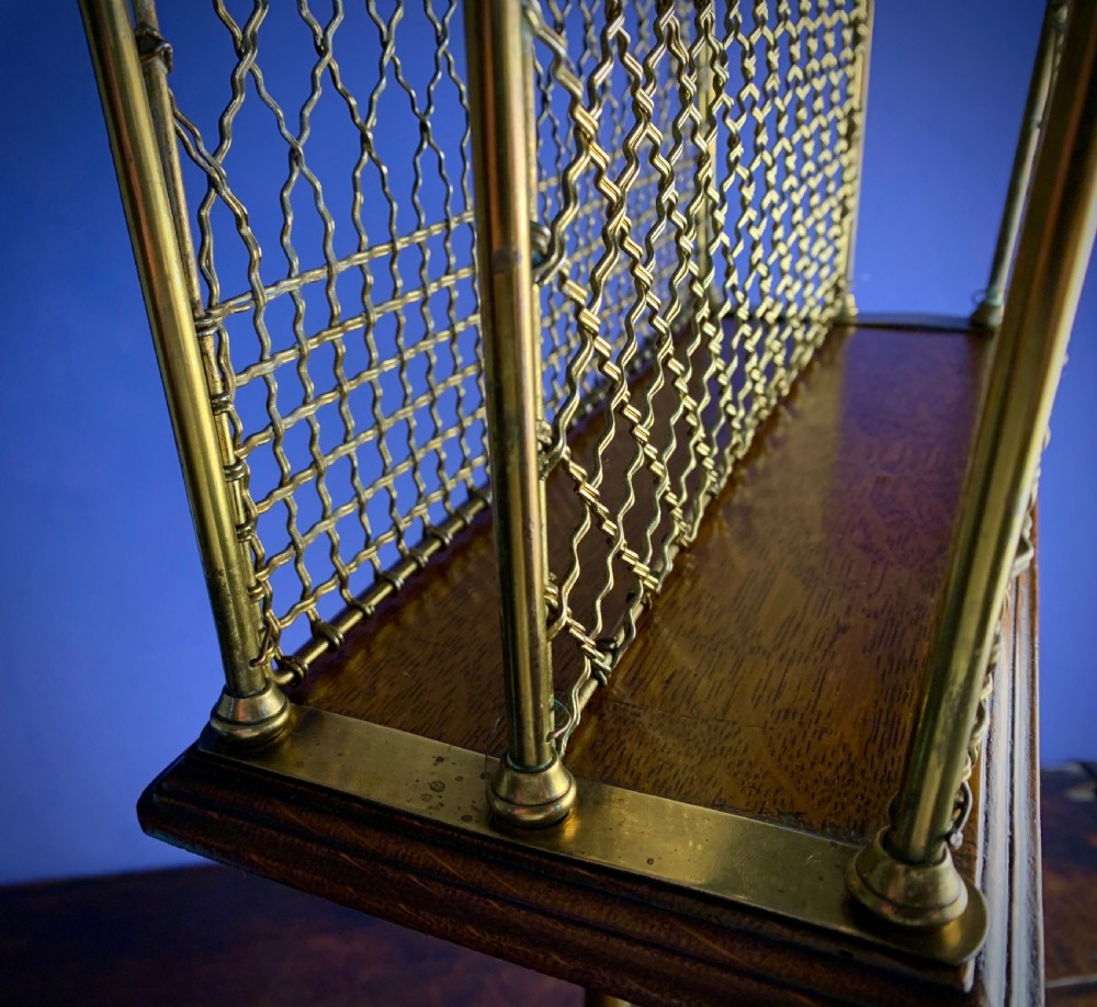 A Victorian tubular brass magazine stand featuring mesh wire compartments, a central carrying handle, and a mahogany base supported by splayed legs. View VI