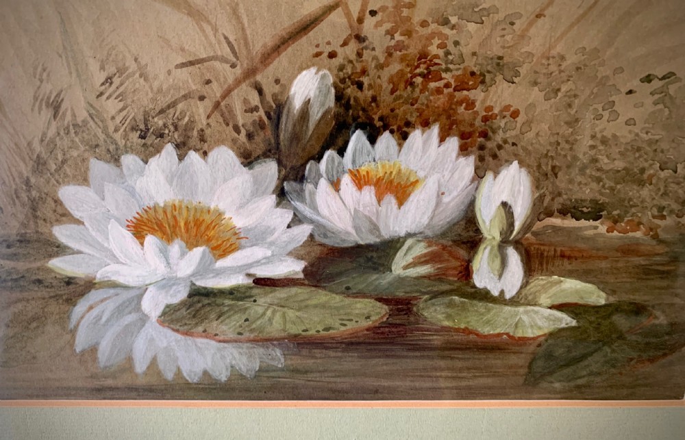 ENGLISH SCHOOL WATERCOLOUR STUDY OF MARTINS AND WATERLILLIES View III