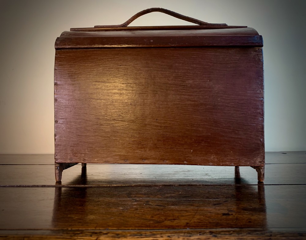 EDWARDIAN POACHERS FERRET BOX View VI