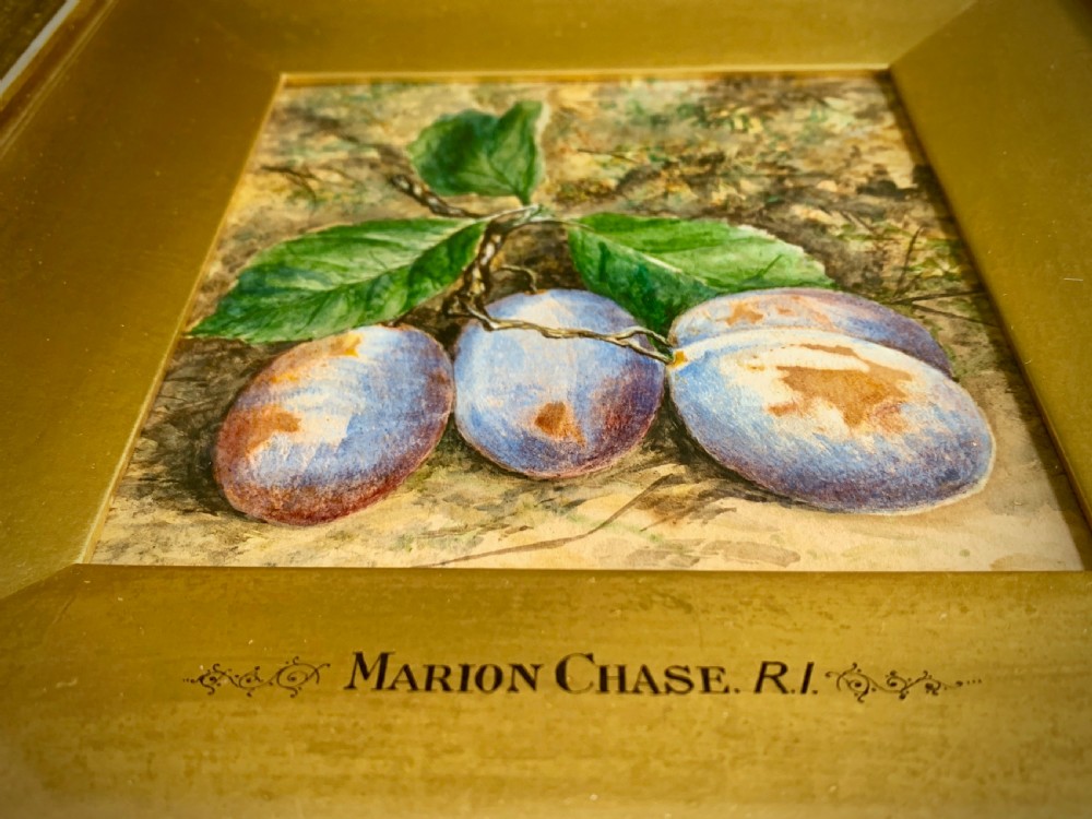 TWO STILL LIFE WATERCOLOUR STUDIES OF PLUMS AND APPLES - Marion Chase 1844 - 1905. View XI