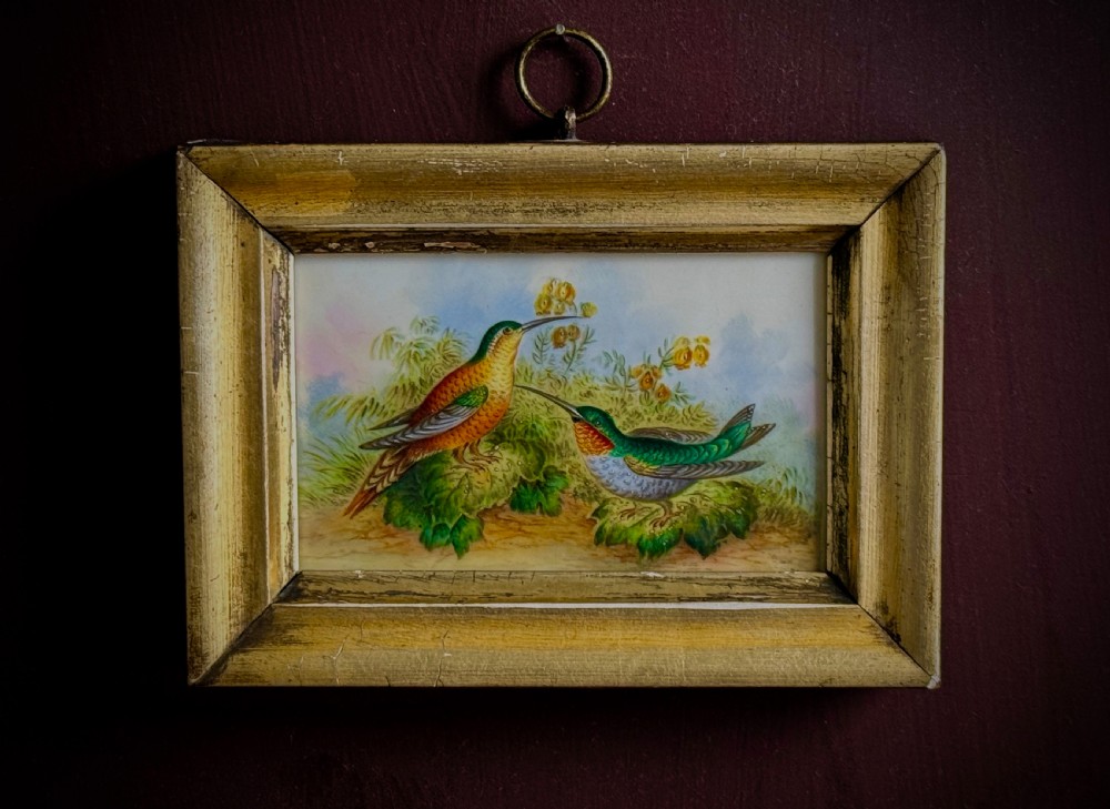 PAINTED PORCELAIN PANEL of HUMMINGBIRDS - ATTRIBUTED TO JOHN RANDALL - 19TH CENTURY