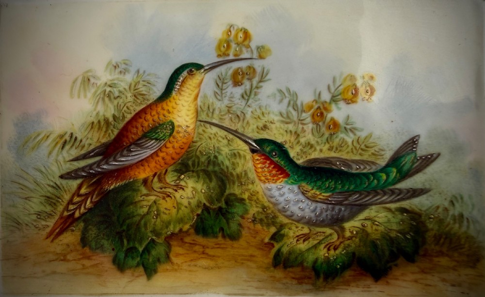 PAINTED PORCELAIN PANEL of HUMMINGBIRDS - ATTRIBUTED TO JOHN RANDALL - 19TH CENTURY View II