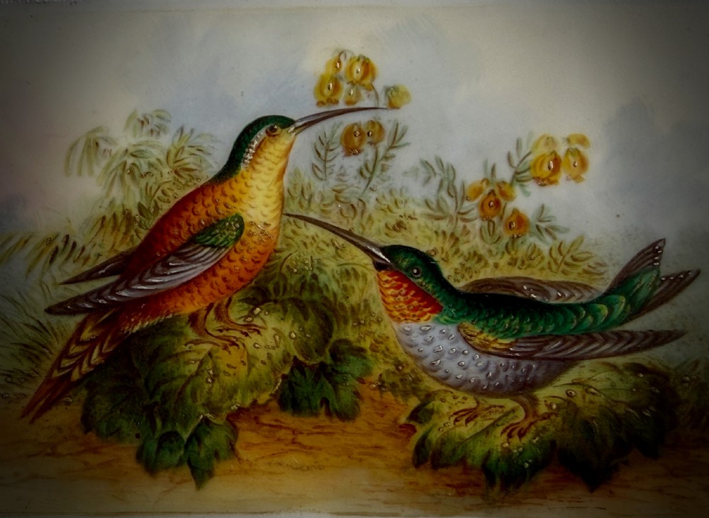 PAINTED PORCELAIN PANEL of HUMMINGBIRDS - ATTRIBUTED TO JOHN RANDALL - 19TH CENTURY View VII