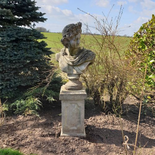 large stone garden bust of appollo on plinth - CATEGORY: ANTIQUE SCULPTURES - DATED 1920
