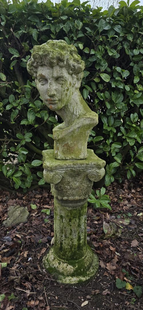 WELL WEATHERED BUST OF DAVID ON PLINTH - ADDITIONAL PHOTO 1