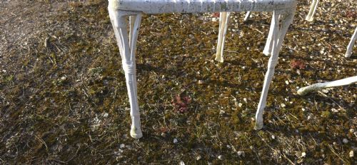 SUPER LATTICE GARDEN TABLE AND CHAIRS - ADDITIONAL PHOTO 5
