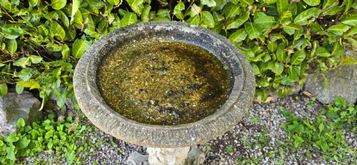 WELL WEATHERED BIRD BATH - ADDITIONAL PHOTO 3
