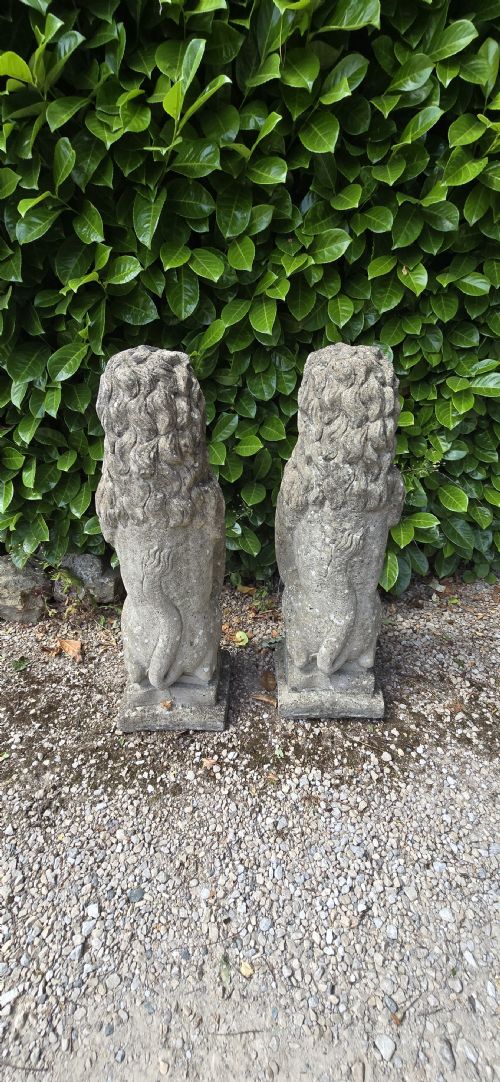 LARGE PAIR WEATHERED STANDING LIONS - ADDITIONAL PHOTO 9