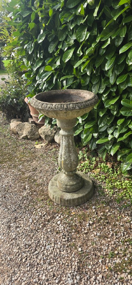 A weathered grey stone bird bath featuring a shallow circular bowl with carved rim detail on a baluster pedestal and round stepped base. View VIII