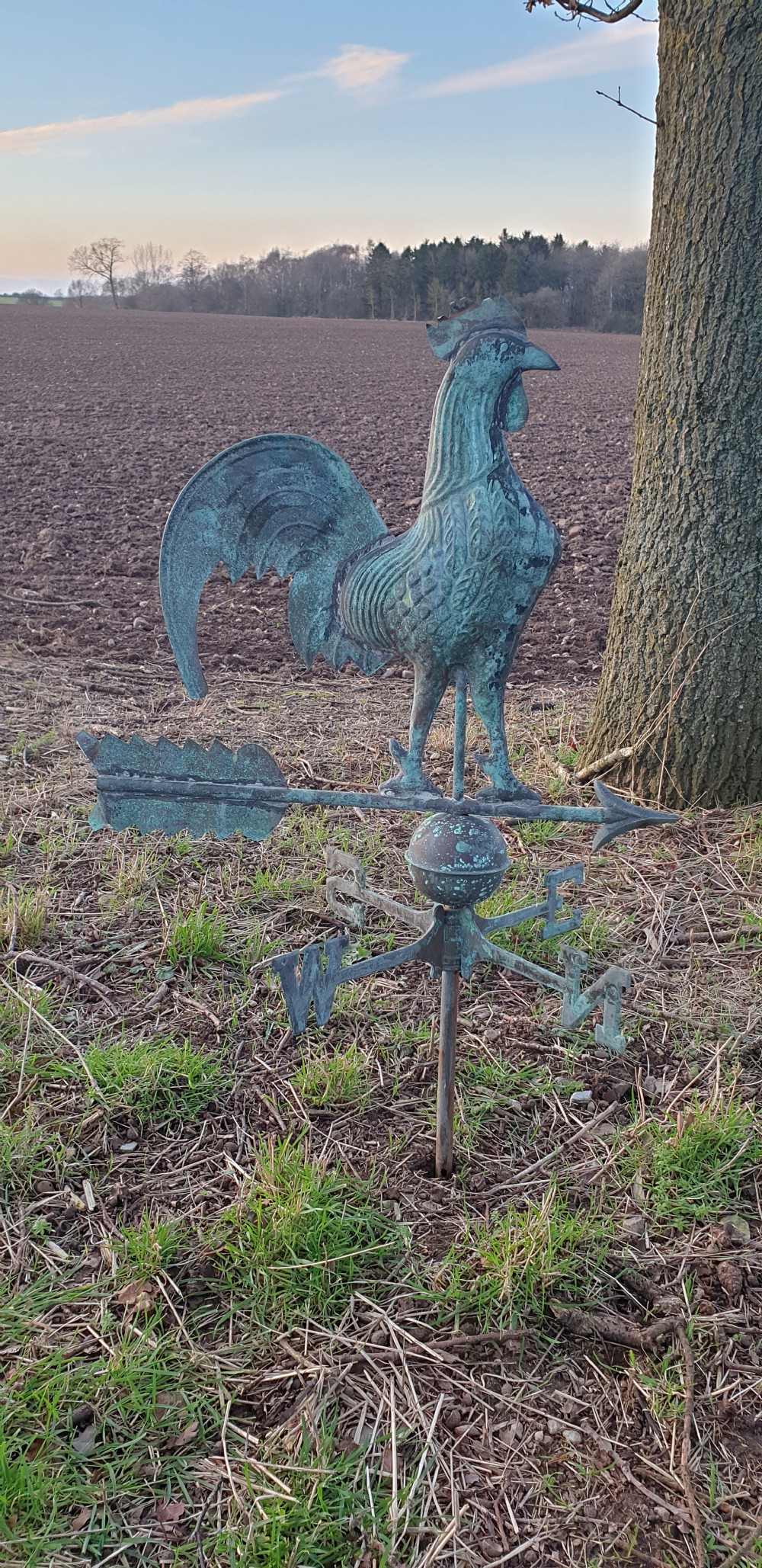 French Copper Weather Vane View IV