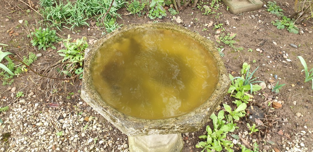 A weathered grey cast stone bird bath featuring an octagonal basin resting upon a tapered faceted pedestal base. View IV