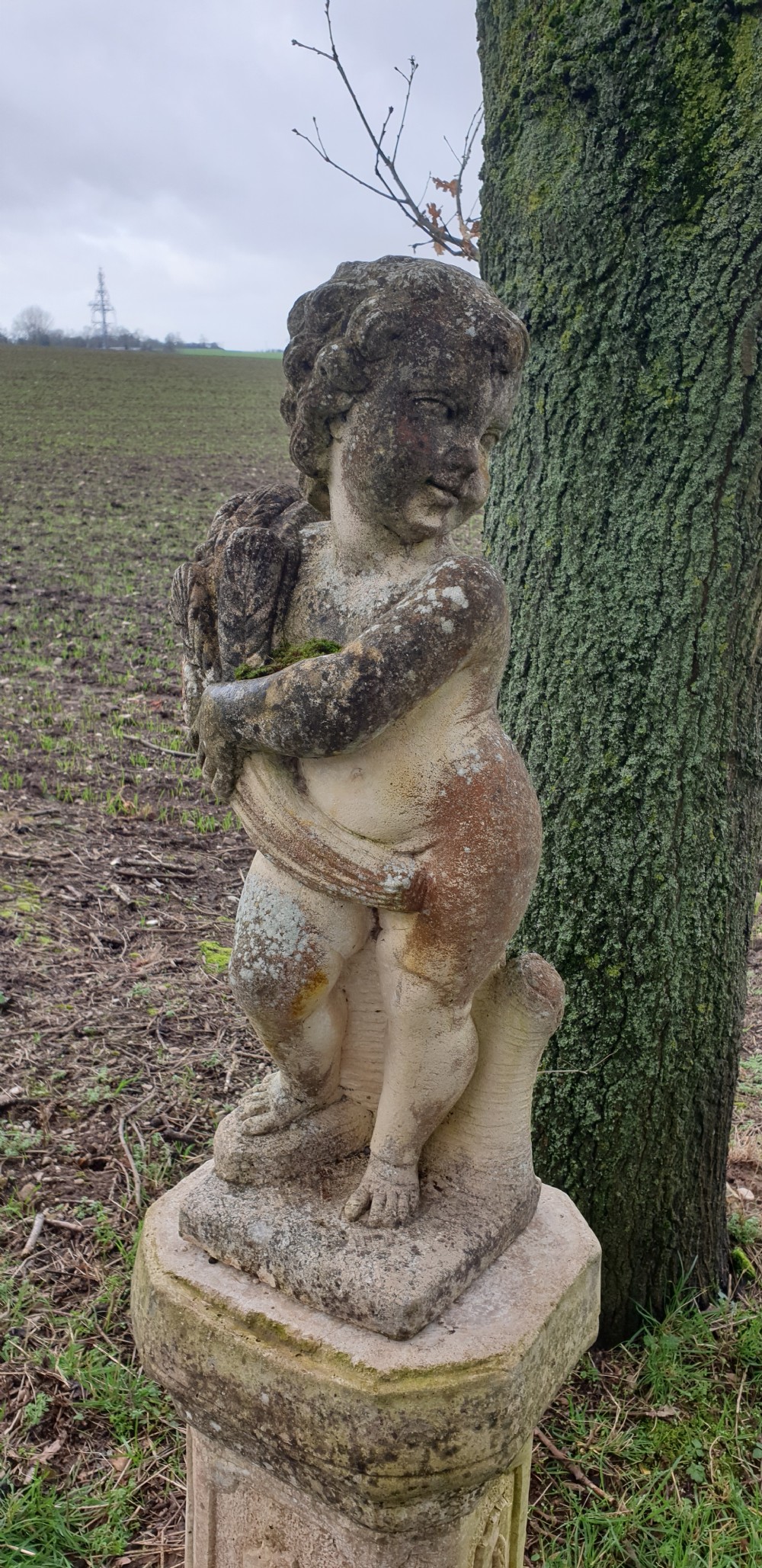 A weathered stone garden statue of a cherub holding a sheaf of grain, positioned atop an ornamental moulded stone pedestal. View V