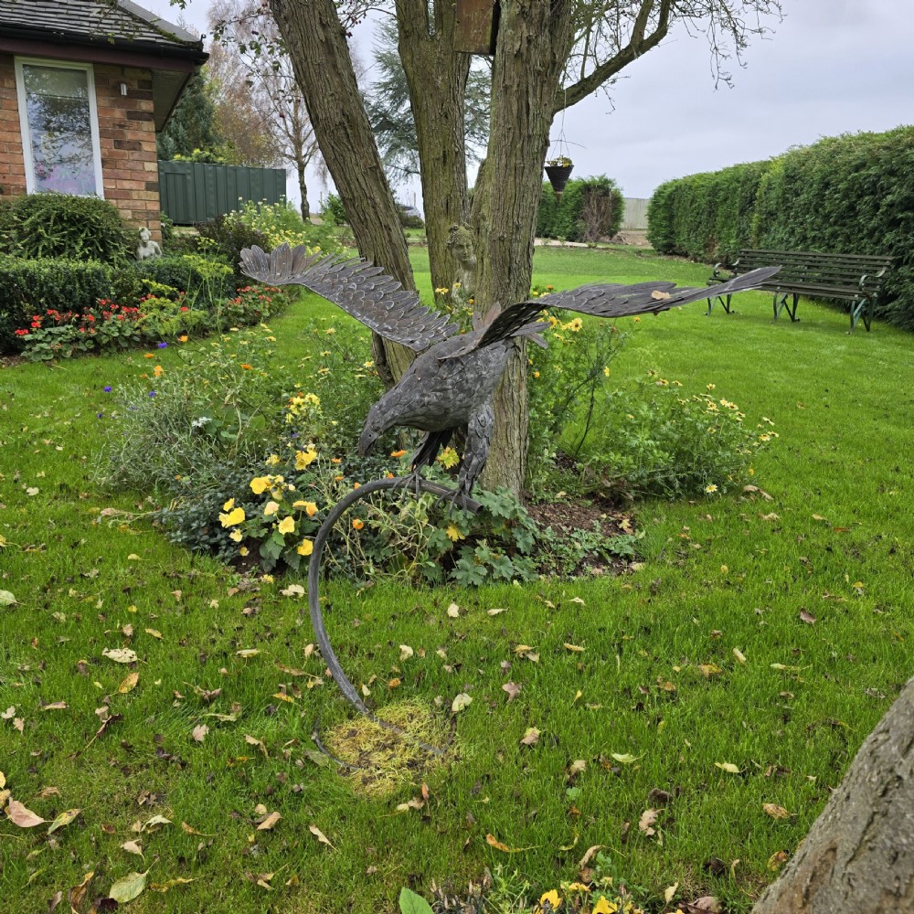 Superb Steel Eagle in Flight View II