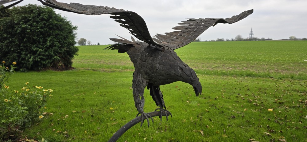 Superb Steel Eagle in Flight View VIII