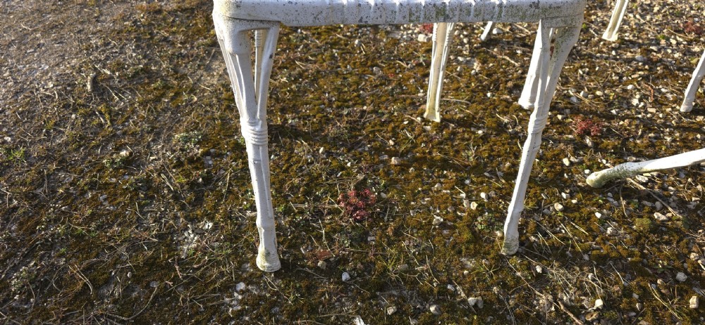 Super Lattice Garden Table and Chairs View VI