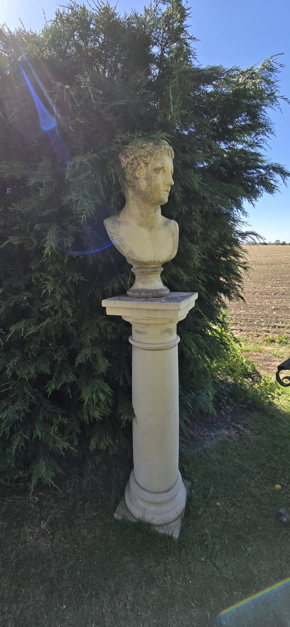 A weathered pale stone classical male bust mounted on a tall cylindrical column pedestal against evergreen foliage. View II
