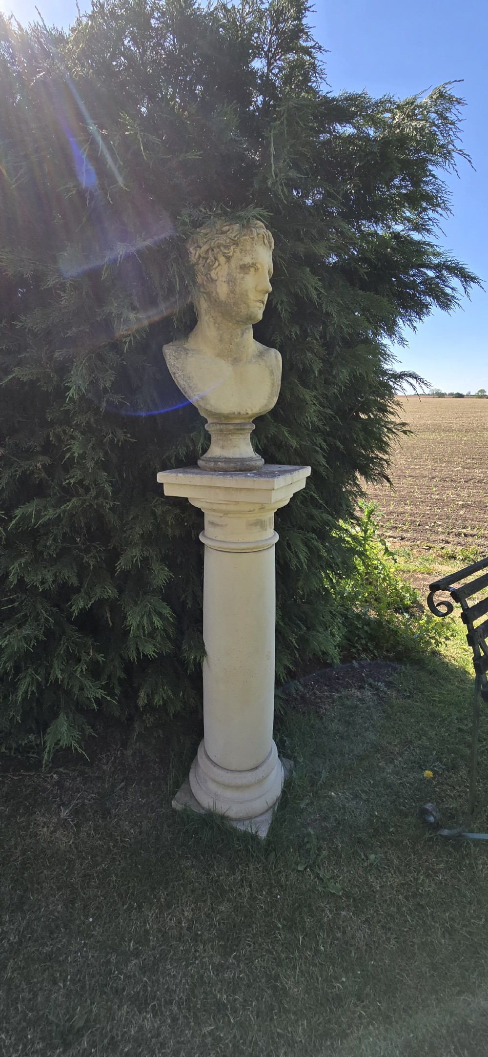 A weathered pale stone classical male bust mounted on a tall cylindrical column pedestal against evergreen foliage. View III