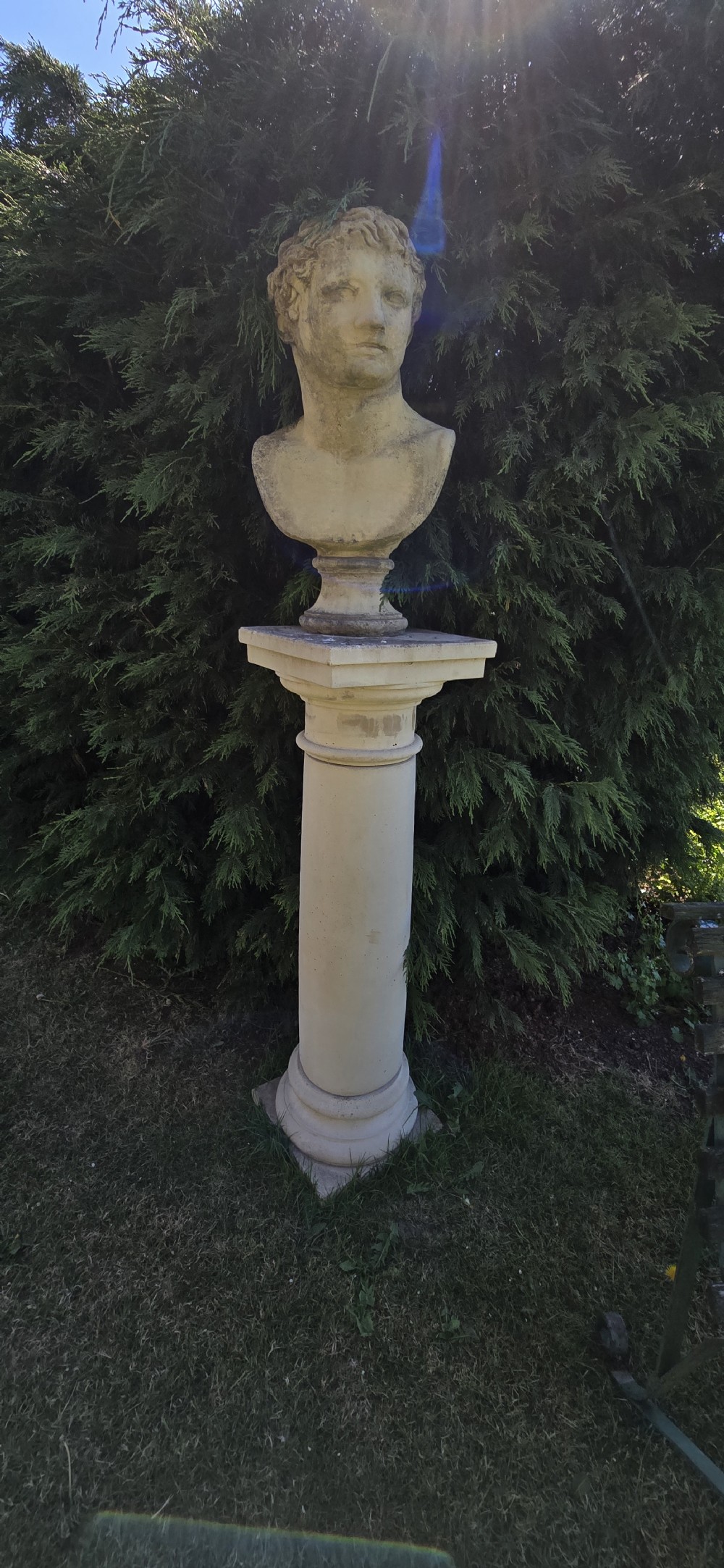 A weathered pale stone classical male bust mounted on a tall cylindrical column pedestal against evergreen foliage. View IV