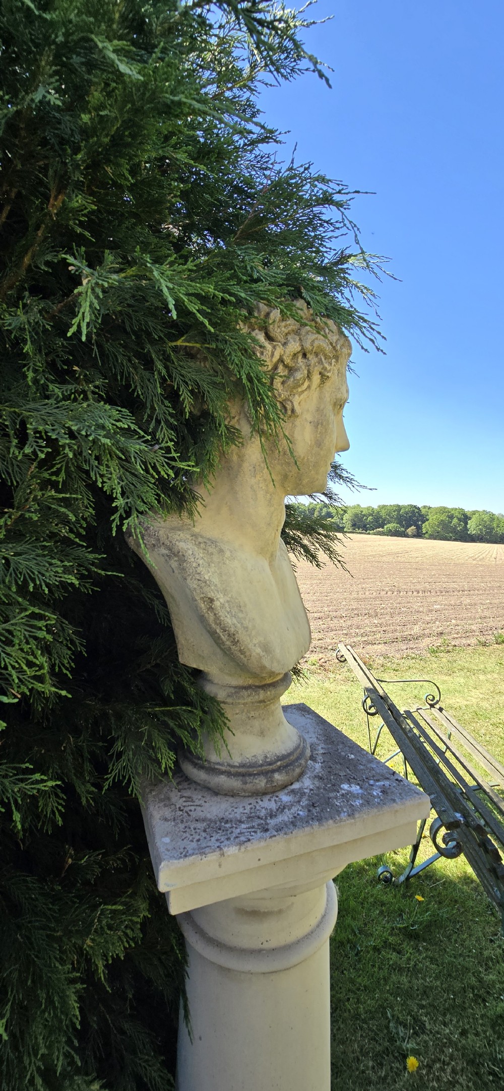 A weathered pale stone classical male bust mounted on a tall cylindrical column pedestal against evergreen foliage. View VII