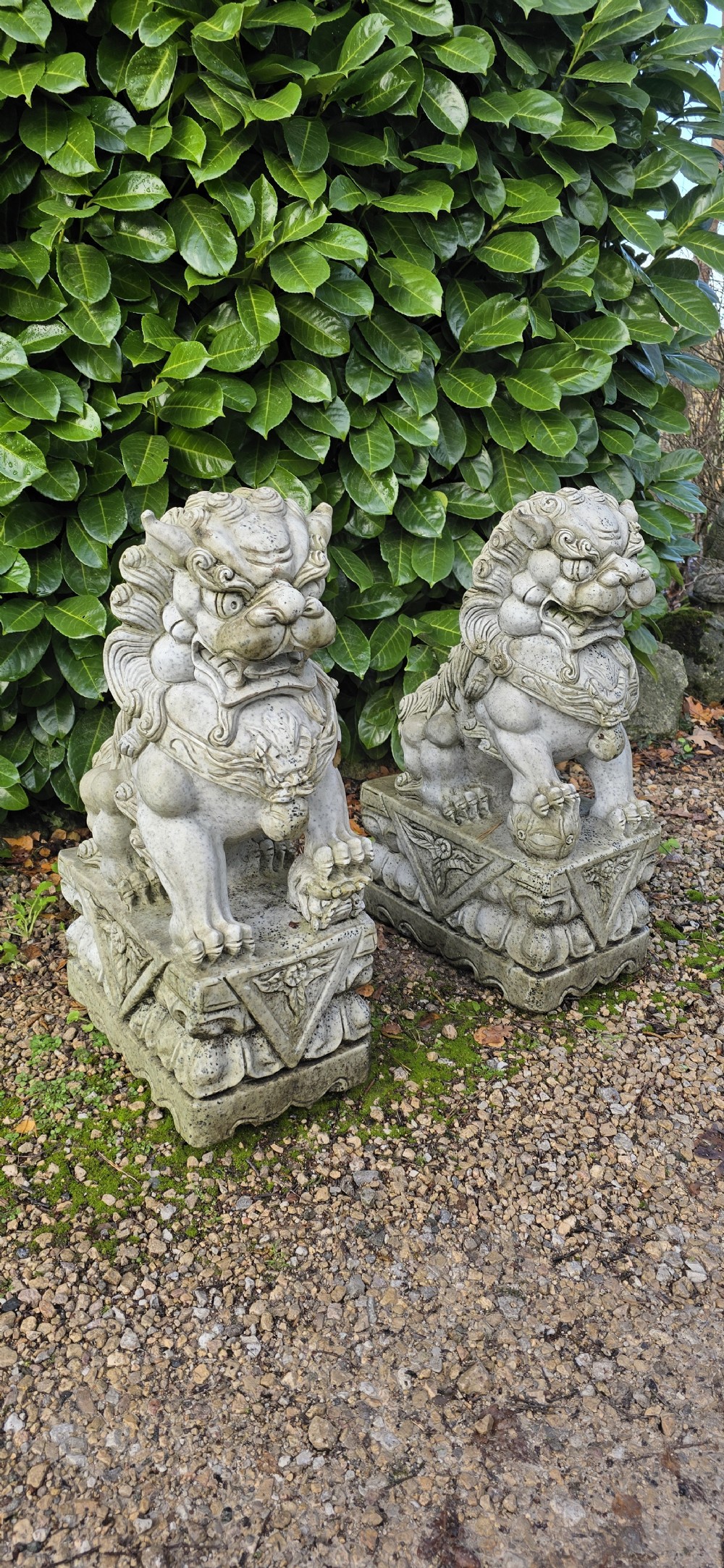 Large Pair Dogs of Foe View II