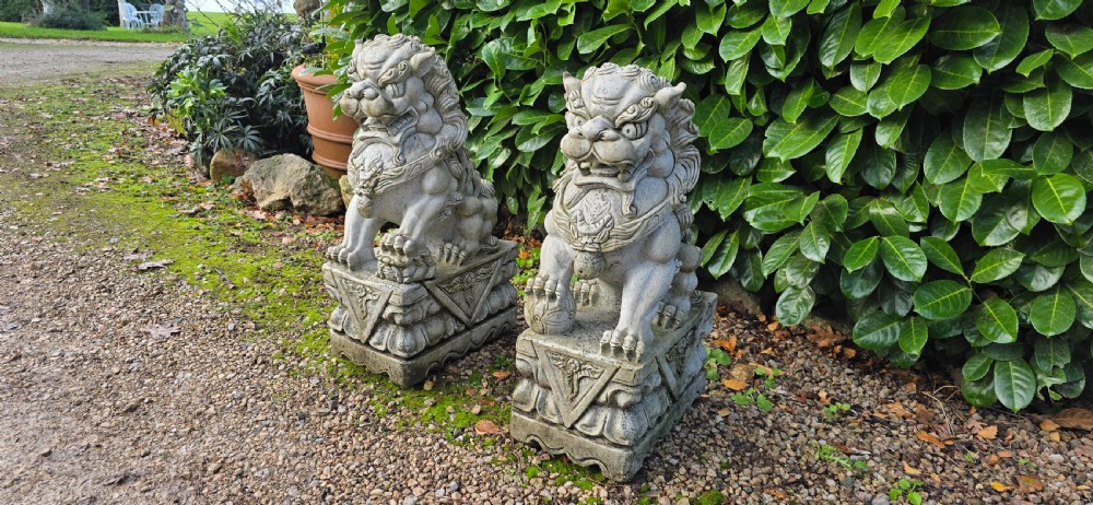Large Pair Dogs of Foe View X