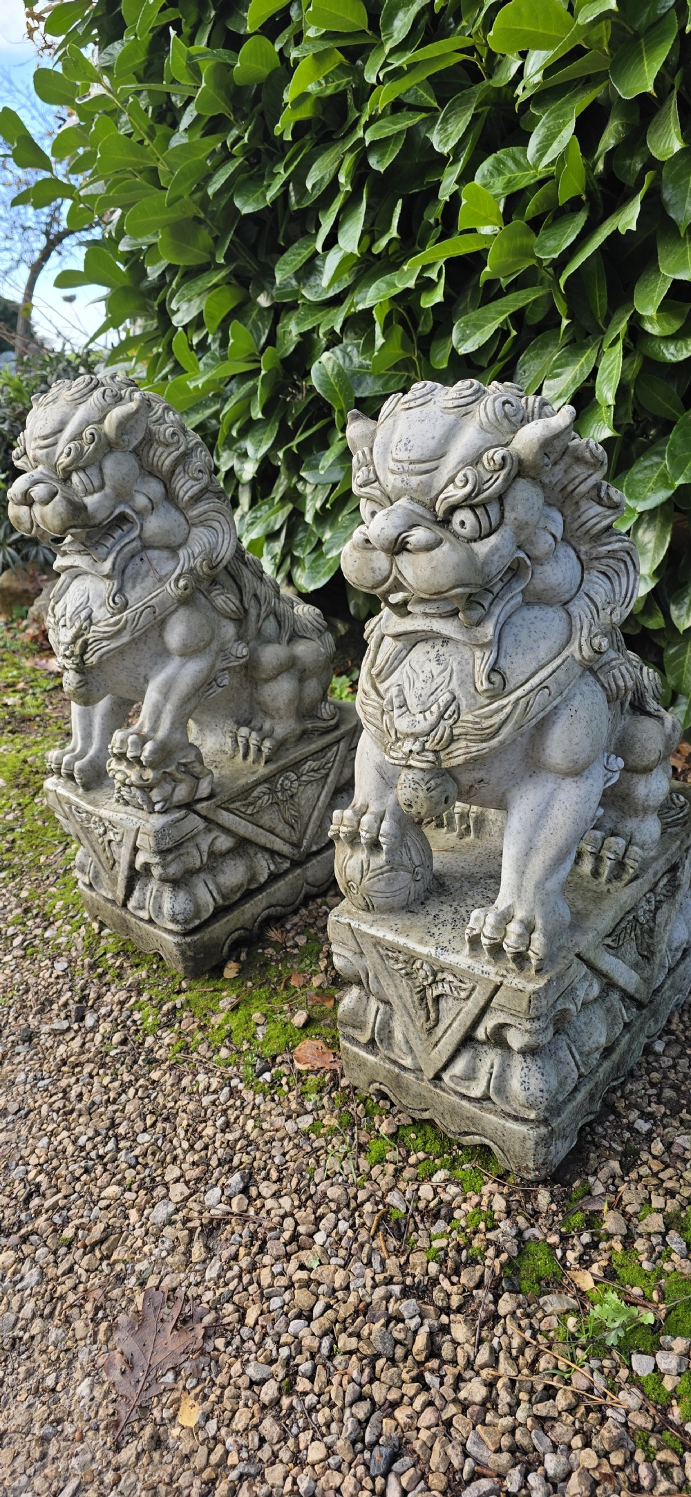 Large Pair Dogs of Foe View XI