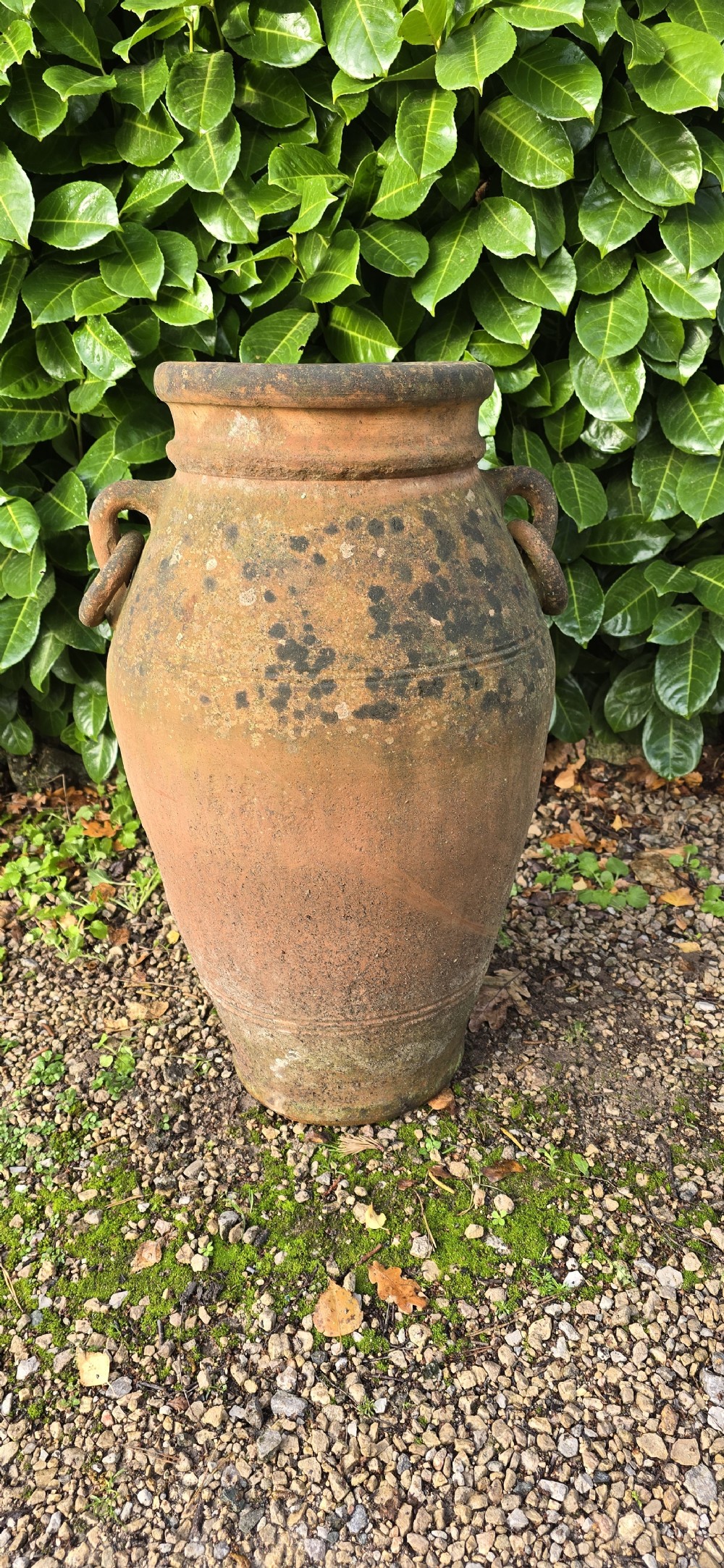 A weathered terracotta oil jar featuring a thick rolled rim, twin loop handles on the shoulders, and aged surface discolouration. View II