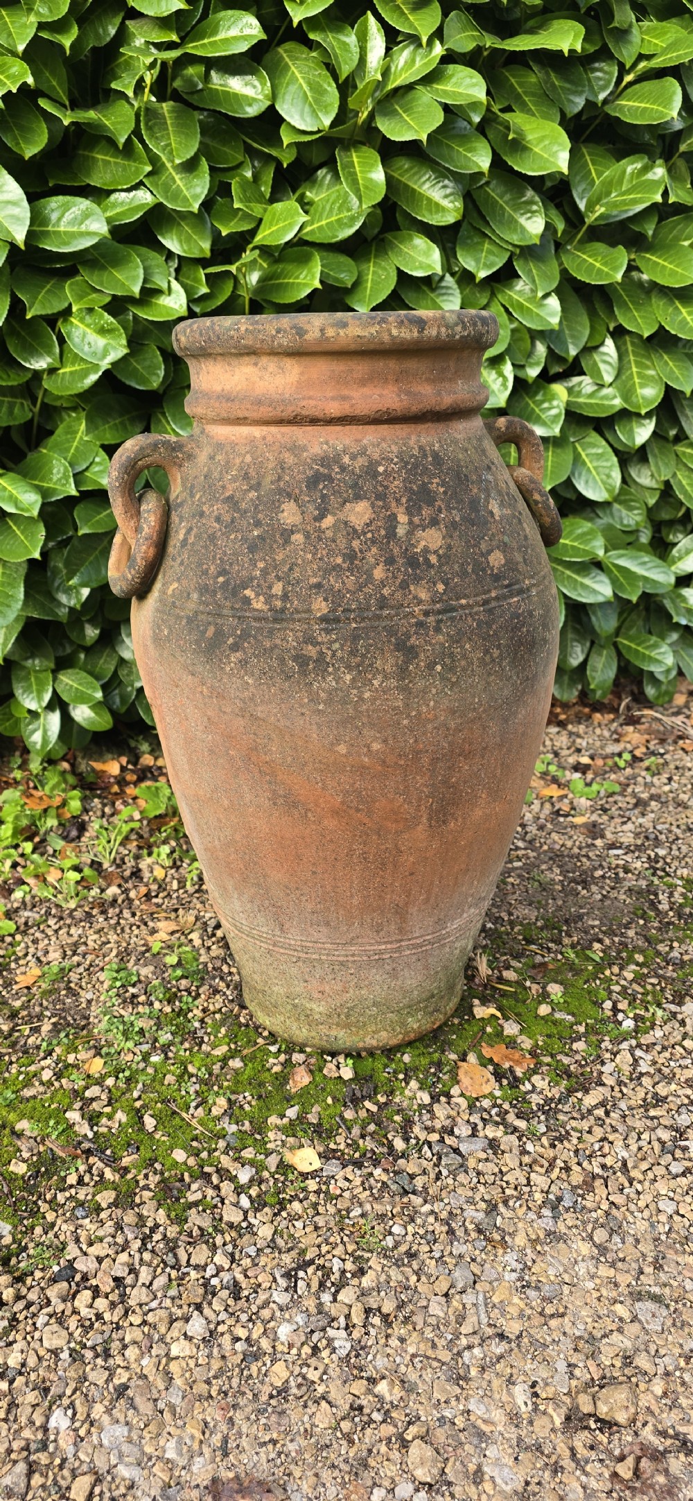 A weathered terracotta oil jar featuring a thick rolled rim, twin loop handles on the shoulders, and aged surface discolouration. View V