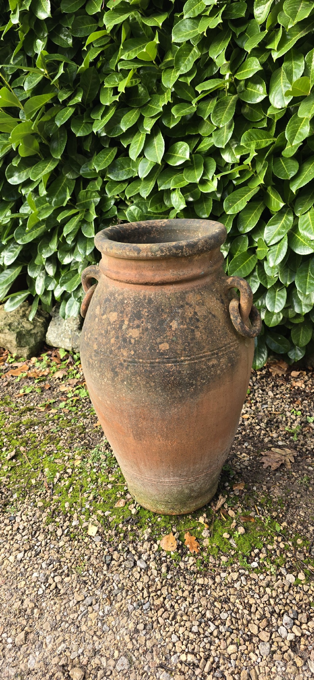 A weathered terracotta oil jar featuring a thick rolled rim, twin loop handles on the shoulders, and aged surface discolouration. View VI