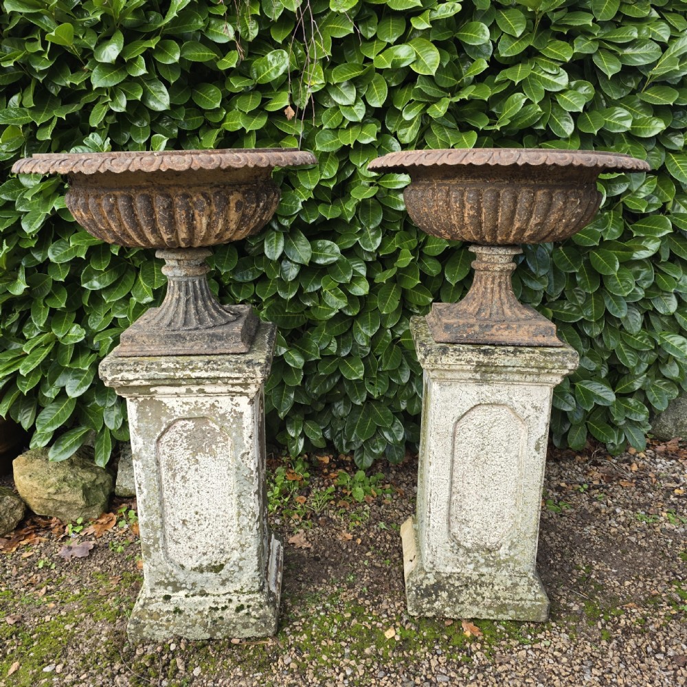 A pair of weathered cast iron garden urns with fluted rims resting on tall, square stone plinths.