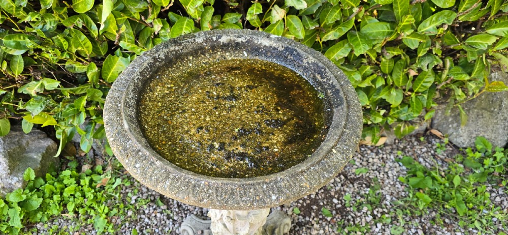 A weathered cast stone pedestal bird bath featuring relief carvings of foliage, birds, and a mouse around the column, resting on a scroll-cornered base. View IV