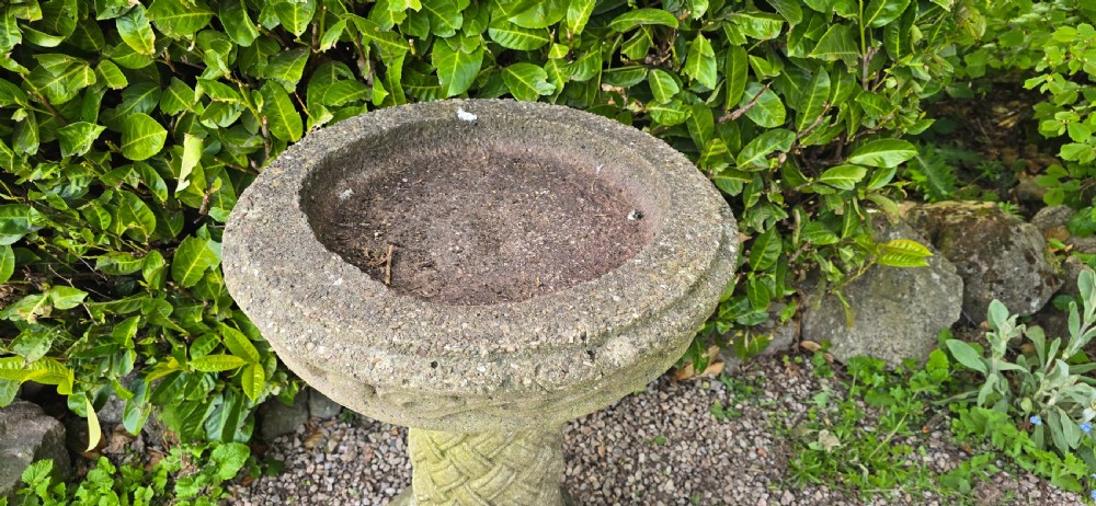 Well Weathered Bird Bath View II
