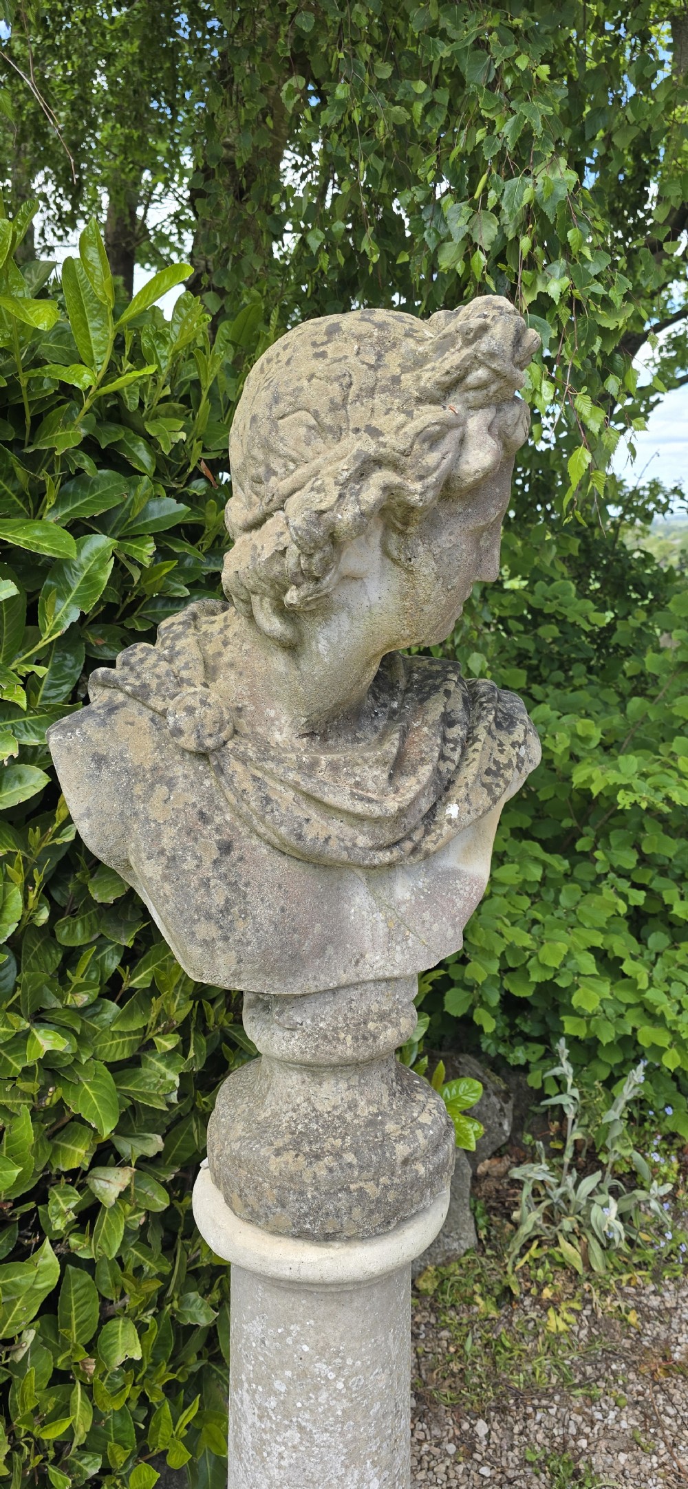 A weathered stone bust of Apollo set atop a cylindrical column pedestal with a square base. View IV