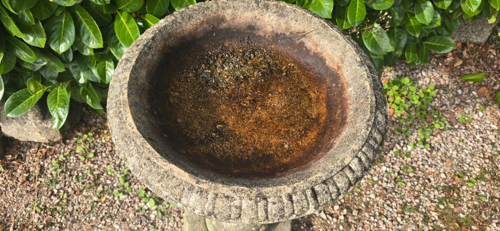 A weathered grey stone bird bath featuring a shallow circular bowl with carved rim detail on a baluster pedestal and round stepped base. View VI