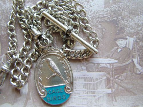Vintage Silver Watch Chain with ‘Cage Bird' Fob